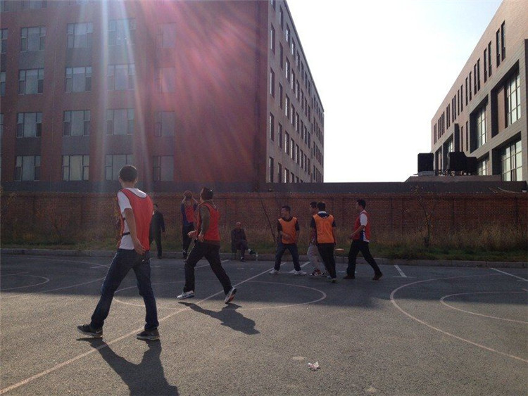 鼎博app安卓版入口