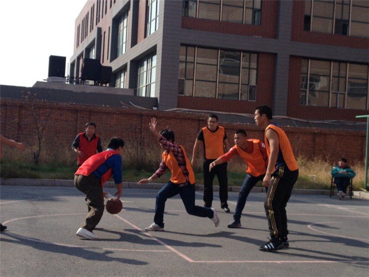 鼎博app安卓版入口