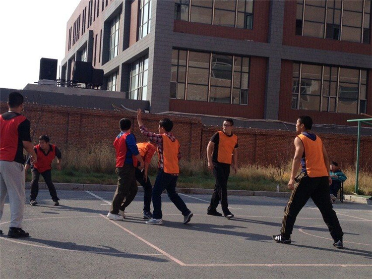 鼎博app安卓版入口