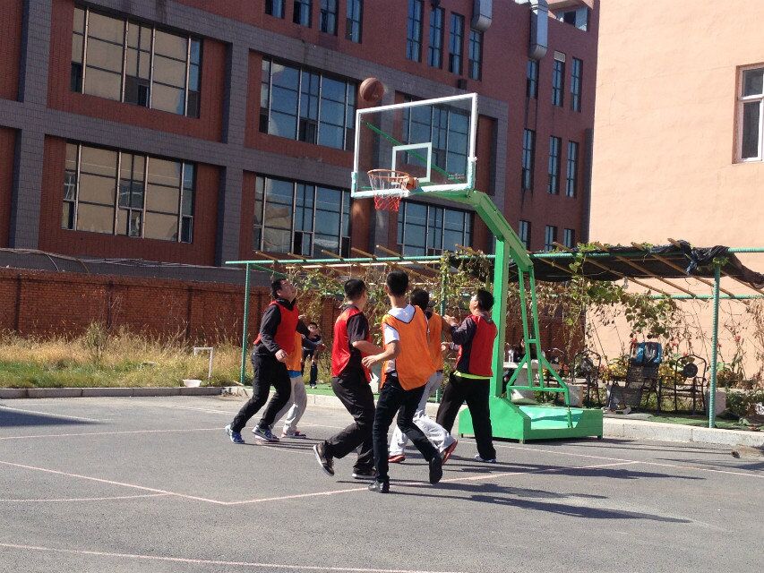 鼎博app安卓版入口