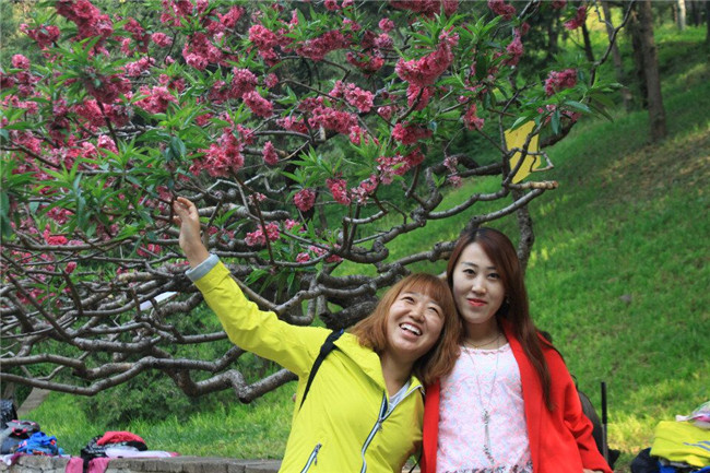 鼎博app安卓版入口