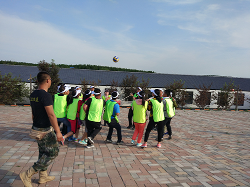 鼎博app安卓版入口