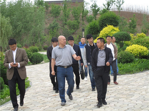 鼎博app安卓版入口