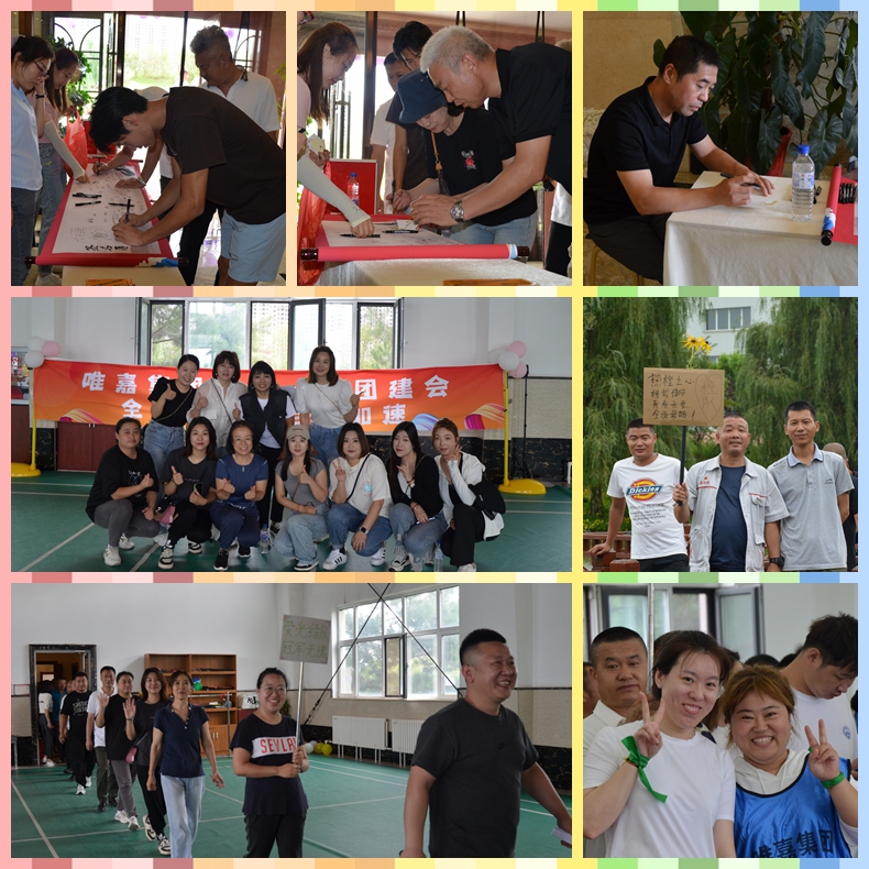 鼎博app安卓版入口